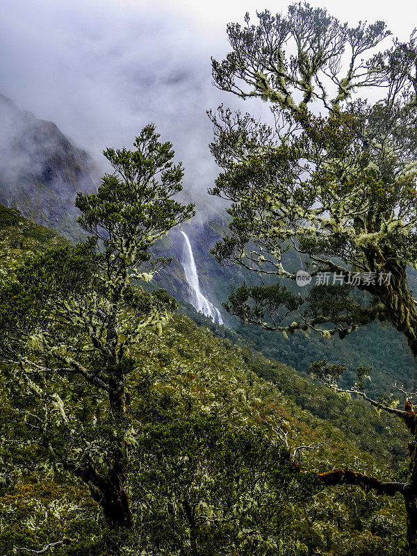 Earland Falls, Routeburn Track，峡湾国家公园，新西兰。